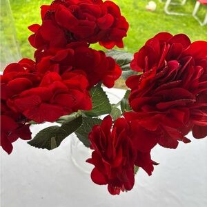 Elegant Red hydrangea stems. Each stem has 4 flowers bundle of 10 stems